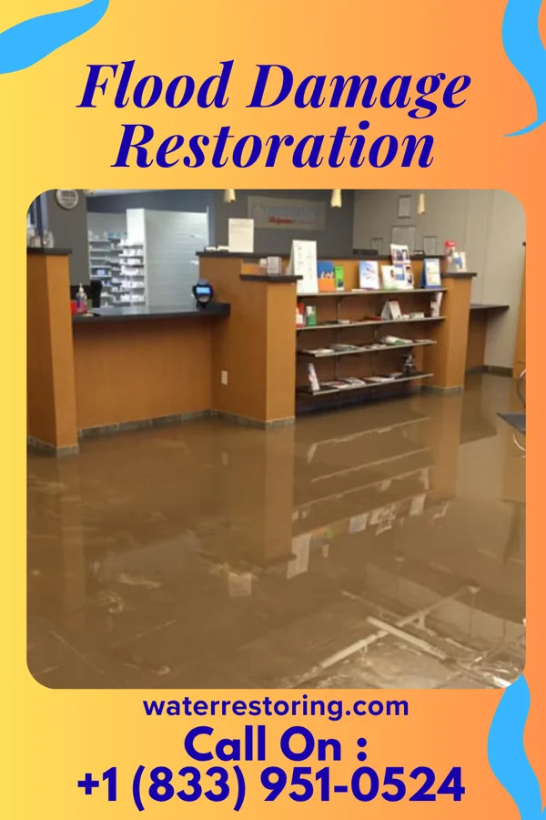 Flood Damage Restoration in Moscow Mills, MO